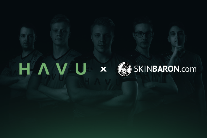 HAVU x SkinBaron